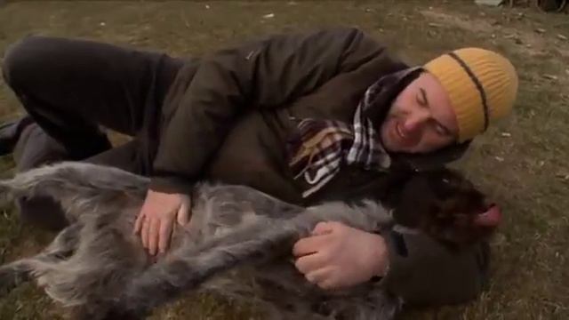 Планета Собак 11 Выпуск - Чешский фоусек (Чехия) / 2013 смотреть онлайн