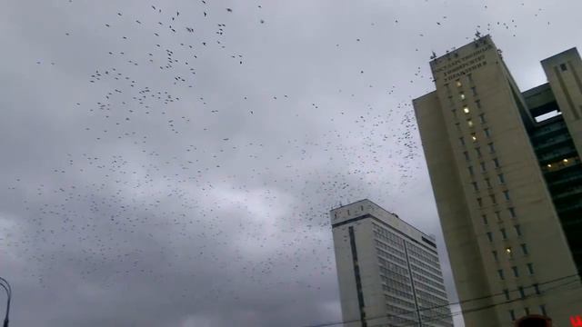 В Москве появилась воронка проклятия! смотреть онлайн