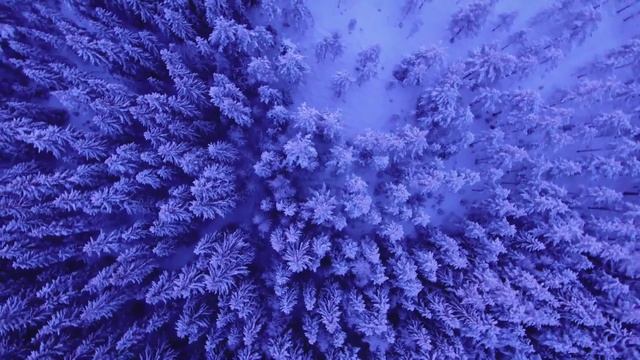 Я чувствую, как ты дышишь... АВТОРСКИЕ СТИХИ. Видеопрочтение смотреть онлайн