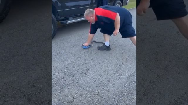 Snake Almost Bit??? змея чуть не укусила???