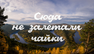 Сюда не залетали чайки. 1978 г.