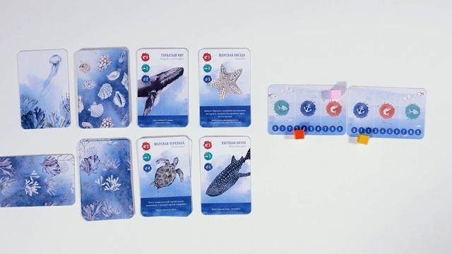 Видео-правила карточной игры «Подводный мир» | Издательство «Тимашёв» смотреть онлайн