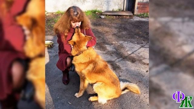 САНТАНА 13. Кот и пёс тяжело переживали ГИБЕЛЬ сородичей - Сантана ЖАЛОБНО МЯУКАЛ, а Барсик СКУЛИЛ смотреть онлайн