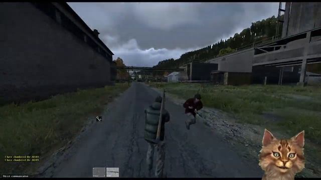 Day - A Kitten Plays DayZ Part 1 смотреть онлайн