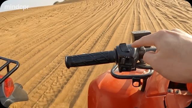 우연히 만난 네덜란드 여사친과 함께 보낸 두바이의 크리스마스