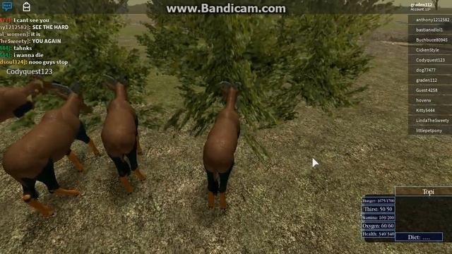 [Roblox: Wild Savannah] Topi time! смотреть онлайн