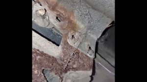 Как снять передний бампер Ваз 2114 #RAZNOBOY #ВАЗ2114 #какснять