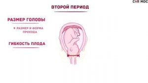 Периоды родов   физиология   кратко
