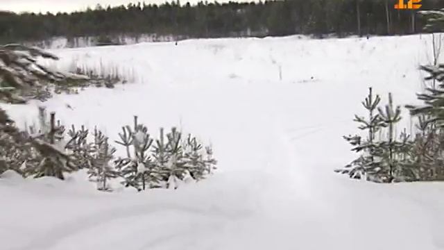 Семейный отдых в MariLand смотреть онлайн