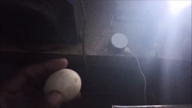 I Hatched 100 Chicks In sunlight Without any egg incubator - Chicks Hatching смотреть онлайн