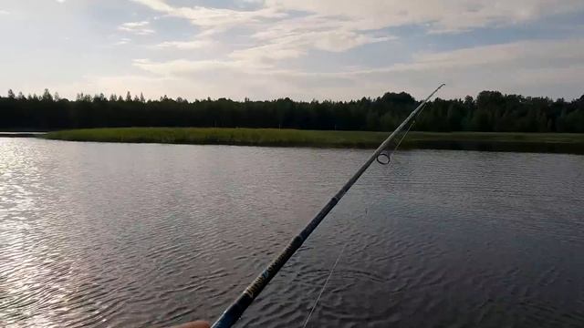 ЗАПЛАТИ за БЕСПЛАТНОЕ и рыбачь спокойно! смотреть онлайн