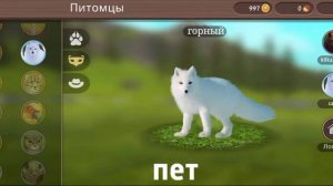 {идеи для обновления в Вайлд крафт} •kilkagreen2os•