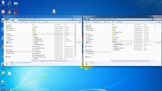 How to Update MySQL (MariaDB) in XAMPP Local Server смотреть онлайн