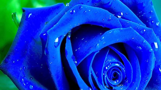 Музыка дает энергию! Самая красивая мелодия в мире! Сергей Чекалин! Отличная музыка для души смотреть онлайн