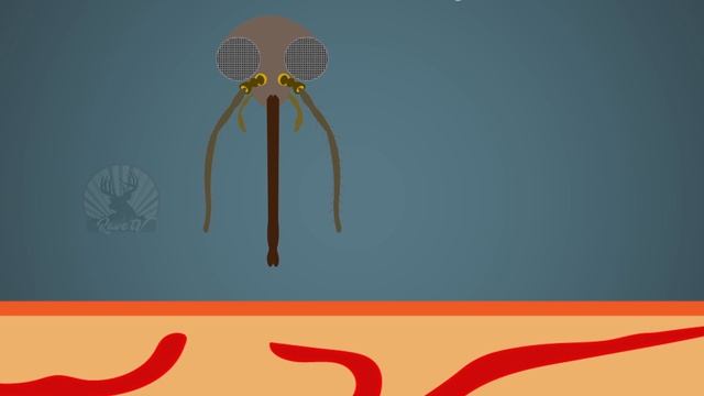 Mosquito bite Mechanism : How and why do mosquitoes bite | 6 Needles functioning смотреть онлайн