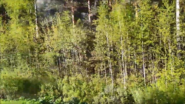 От Нижнего Чова до Эжвы смотреть онлайн
