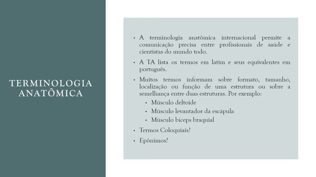 Introdução à Anatomia Humana - Monitoria de Anatomia Médica PUCPR смотреть онлайн