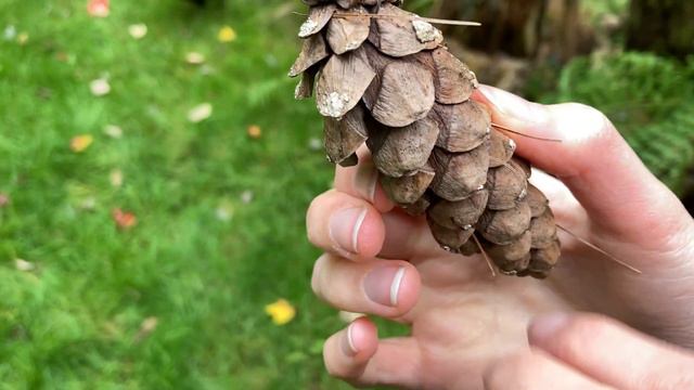 🍁Magic Cottagecore DIY🍂 ✧| Cheap Easy Fantasy Decor смотреть онлайн