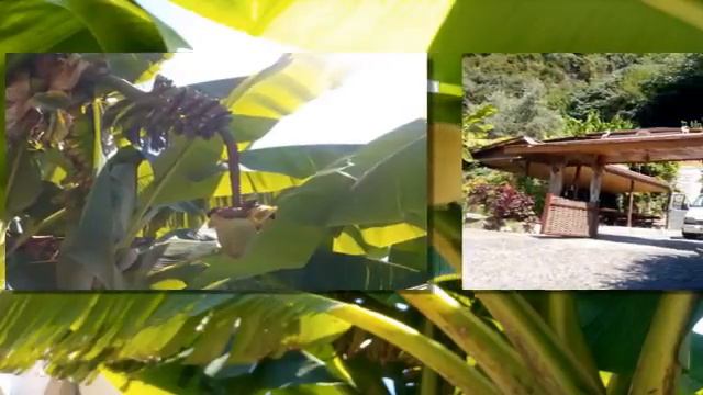 Танцы под звездами