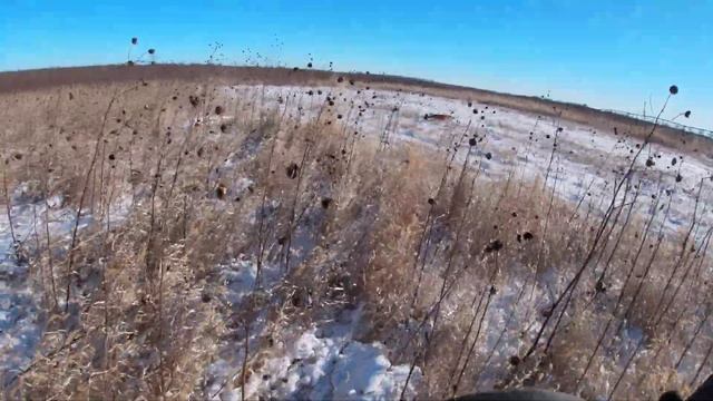 12/11/21 NE First Snow Pheasants 2 of 3 смотреть онлайн