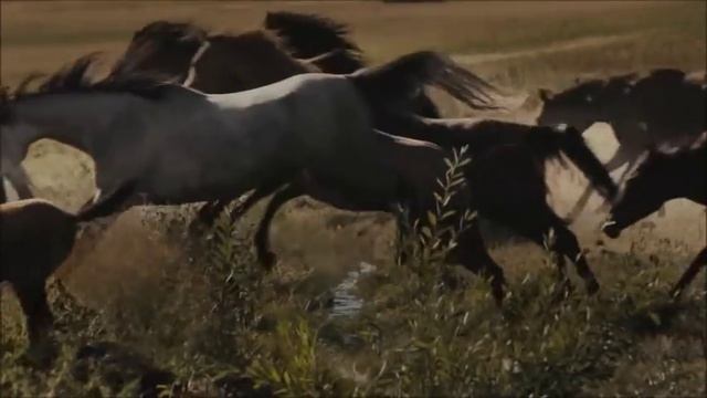 Ludovico Einaudi - Run