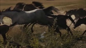 Ludovico Einaudi - Run