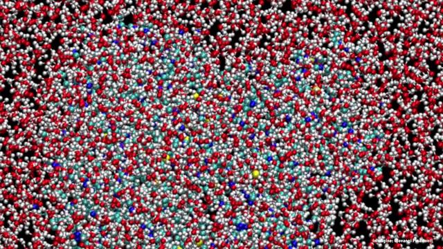 Conosci lo scienziato: Giovanni Pinamonti смотреть онлайн