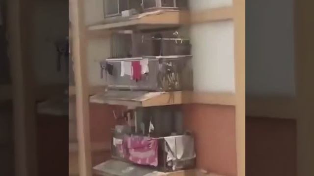 Как спасали кошку. смотреть онлайн