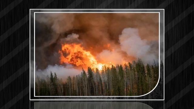 Главный эколог в Британии оказалась мошенником! смотреть онлайн