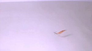 Блесна Smith Pure || Игра в замедленной съёмке