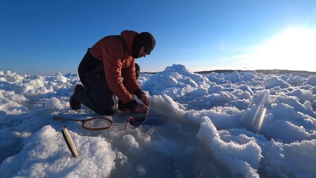 Краба много! // Lot of crab! (Eng Subs) смотреть онлайн