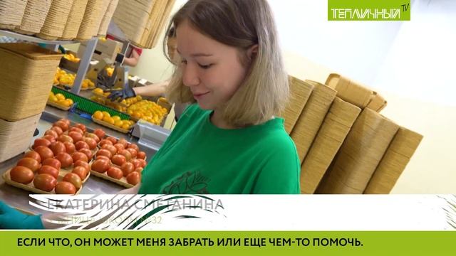 Дети сотрудников на каникулах зарабатывают деньги в «Тепличном»