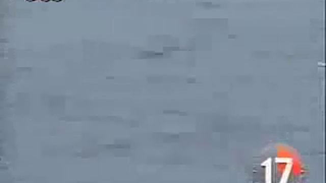 FLYING FISHES смотреть онлайн