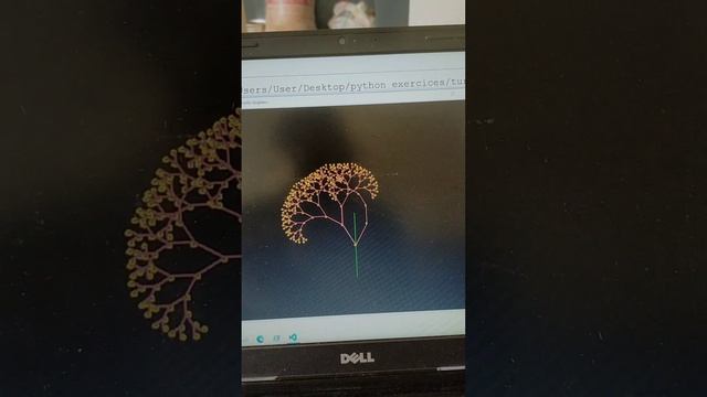 create Tree ?? using turtle in ###python смотреть онлайн