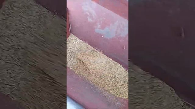 Сеем люцерну смотреть онлайн