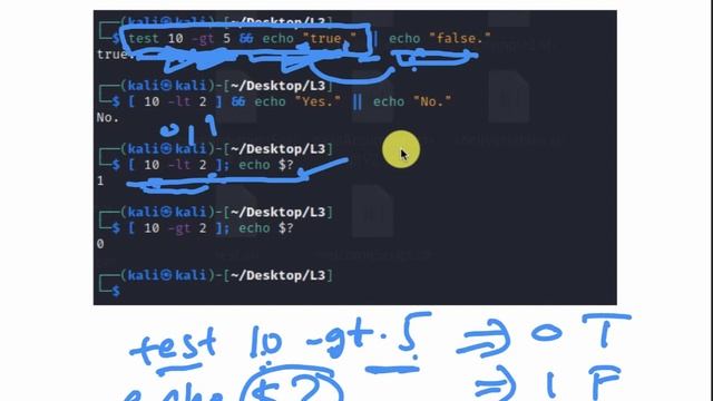 CS495-01: Programming for Security Professionals - Part II - Bash/Python Scripting смотреть онлайн