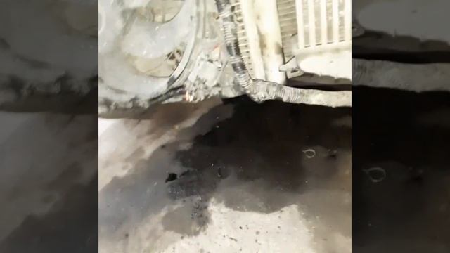 Opel astra H 1.3 dizel yağı suya qatıb (yenə eyni problem) @samirusta64 @0775344240 смотреть онлайн