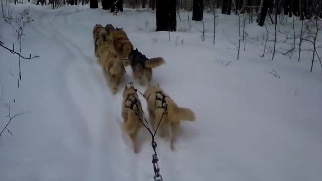 Горный хрусталь Алтая смотреть онлайн