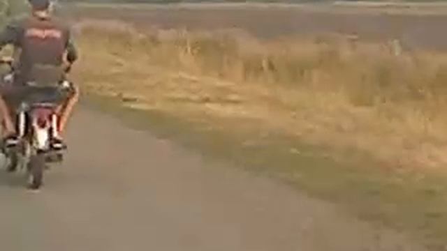 Черепашка-ниндзя в отпуске. Ржач, прикол... смотреть онлайн
