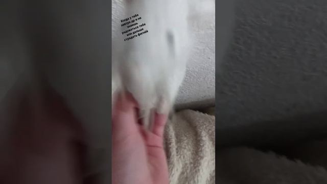 хз чё писать видео без смысла как и все видео смотреть онлайн