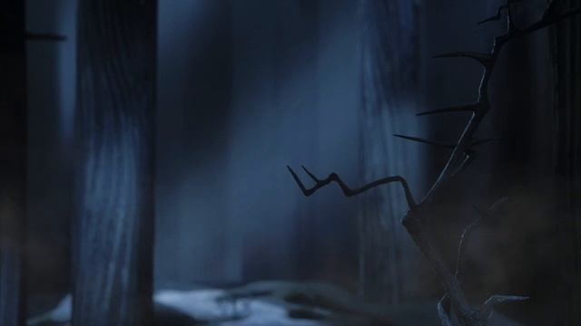 Corpse Bride [ASMR] Ambience | Dark Forest and Night Soundscape смотреть онлайн