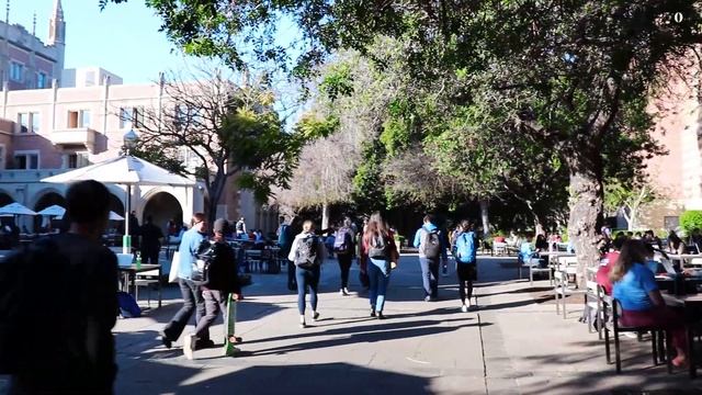University of California Los Angeles. Университет в Лос Анджелесе, где снимали Чокнутого Профессора смотреть онлайн
