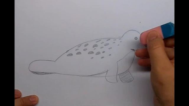 Как нарисовать тюленя смотреть онлайн