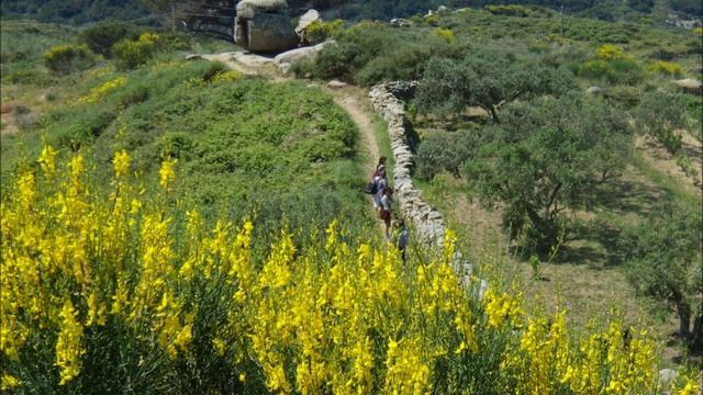 Isola del Giglio - Grosseto Italy