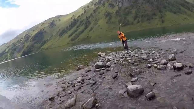 Рыба на Прикормку