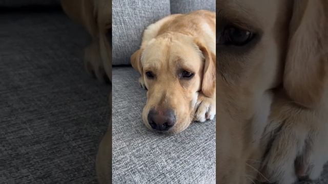 Что важнее: любовь или дружба? Делись своими мыслями в комментариях. смотреть онлайн