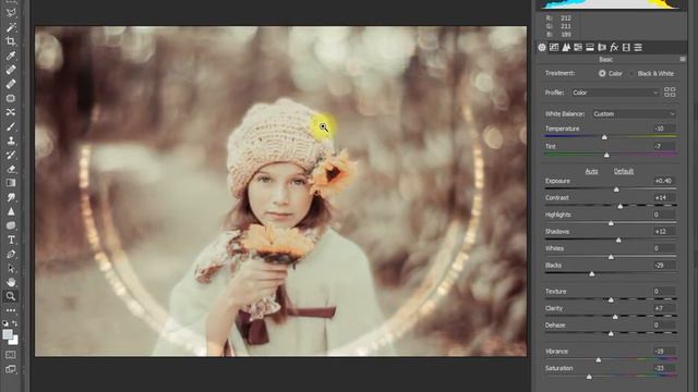 Camera Raw Presets 2021 Free_بريست كاميرا رو ولايت روم 2021