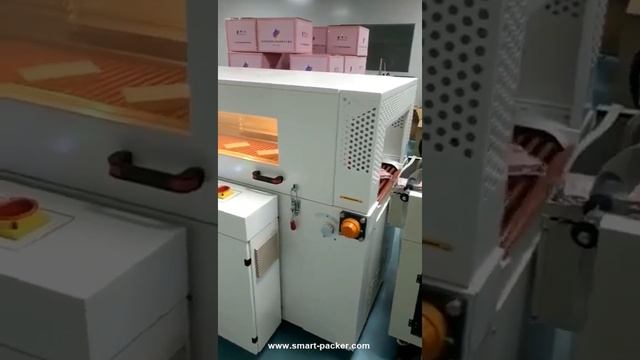 SammllカセットトレイフィードL本フィルムカットシール収縮包装機 смотреть онлайн