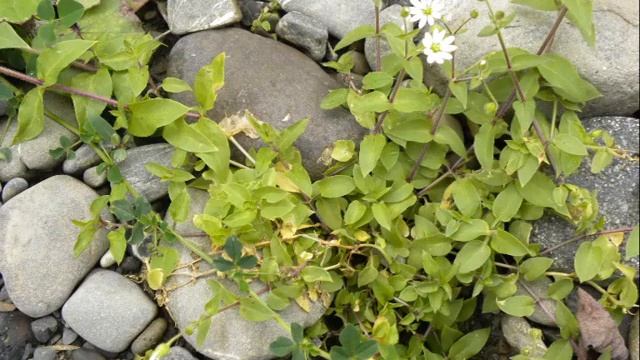 Рассказы, миниатюры, юмор - Какой ты нудный смотреть онлайн