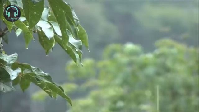 Relax Ear with Quran (Surat Al Rahman) the sound from Sky mixed wz Rain,استرخ باستماع القرأن ف المط смотреть онлайн